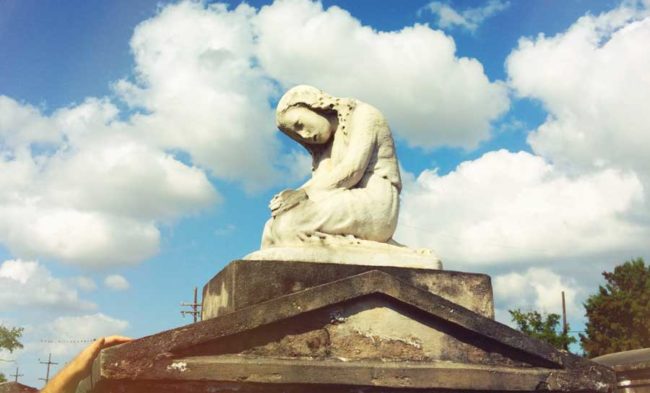 Bus Tour vs Walking Tour