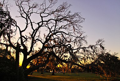 Day Trips New Orleans