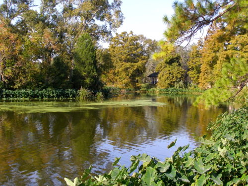 Best Walks in New orleans