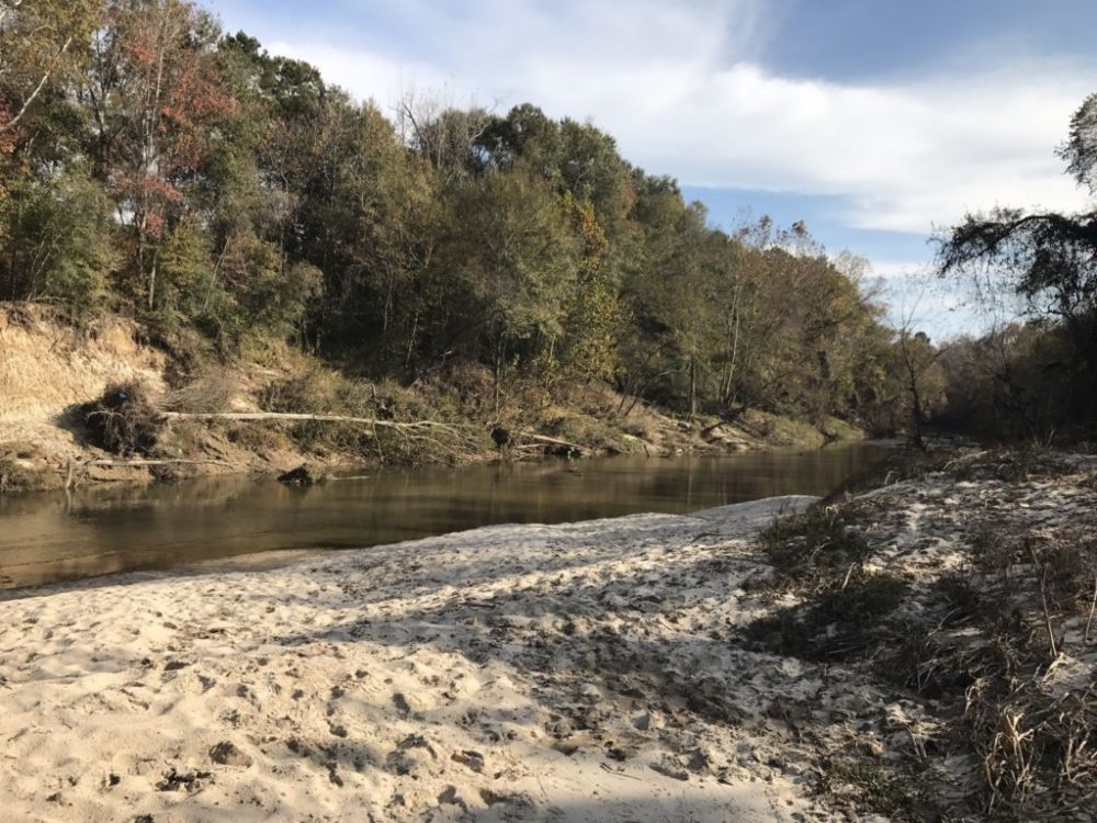 Best Places to Walk, Hike and Jog in New Orleans