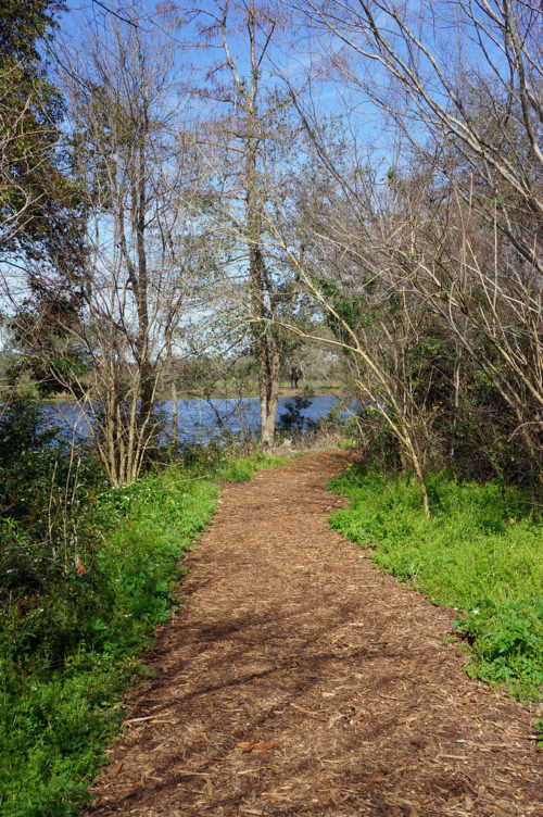 Best Walks New Orleans