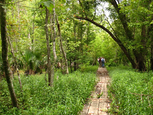 Best Walks New Orleans