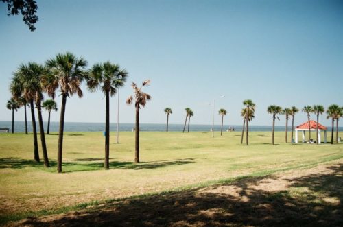 Best Walks new Orleans