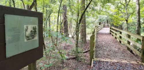 Best Walking New Orleans