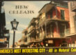 Weird Things to do in New Orleans