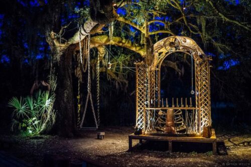 Weird things to do in New Orleans