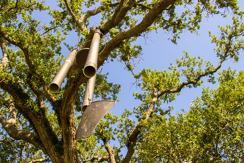 Weird things to do in New Orleans