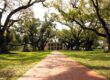 Best Plantation Tours New Orleans